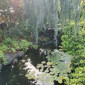 Meet your Posher, Ramona